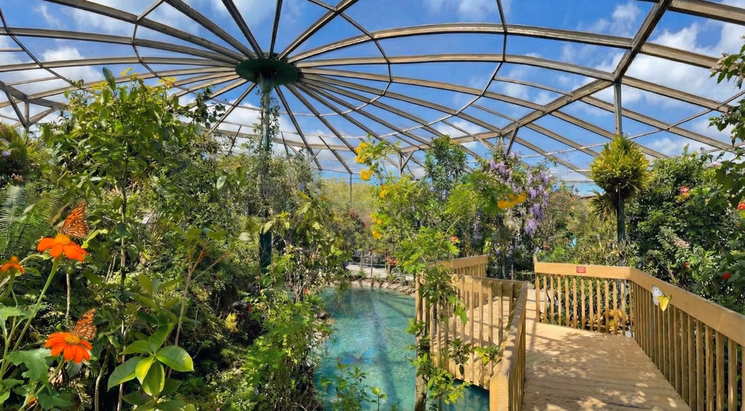 Indoor butterfly garden in Fort Lauderdale with tropical plants and wooden walkway, a family-friendly nature attraction